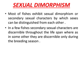 SEXUAL DIMORPHISM
• Most of fishes exhibit sexual dimorphism or
secondary sexual characters by which sexes
can be distinguished from each other .
• In a few fishes secondary sexual characters are
discernible throughout the life span where as
in some other they are discernible only during
the breeding season .
 