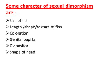 Some character of sexual dimorphism
are -
Size of fish
Length /shape/texture of fins
Coloration
Genital papilla
Ovipositor
Shape of head
 