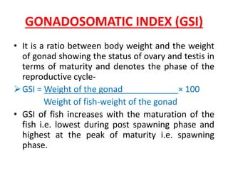 GONADOSOMATIC INDEX (GSI)
• It is a ratio between body weight and the weight
of gonad showing the status of ovary and testis in
terms of maturity and denotes the phase of the
reproductive cycle-
GSI = Weight of the gonad × 100
Weight of fish-weight of the gonad
• GSI of fish increases with the maturation of the
fish i.e. lowest during post spawning phase and
highest at the peak of maturity i.e. spawning
phase.
 