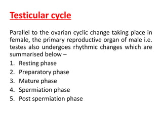 Testicular cycle
Parallel to the ovarian cyclic change taking place in
female, the primary reproductive organ of male i.e.
testes also undergoes rhythmic changes which are
summarised below –
1. Resting phase
2. Preparatory phase
3. Mature phase
4. Spermiation phase
5. Post spermiation phase
 