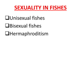 SEXUALITY IN FISHES
Unisexual fishes
Bisexual fishes
Hermaphroditism
 