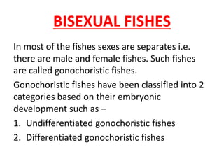 BISEXUAL FISHES
In most of the fishes sexes are separates i.e.
there are male and female fishes. Such fishes
are called gonochoristic fishes.
Gonochoristic fishes have been classified into 2
categories based on their embryonic
development such as –
1. Undifferentiated gonochoristic fishes
2. Differentiated gonochoristic fishes
 