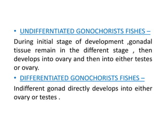 • UNDIFFERNTIATED GONOCHORISTS FISHES –
During initial stage of development ,gonadal
tissue remain in the different stage , then
develops into ovary and then into either testes
or ovary.
• DIFFERENTIATED GONOCHORISTS FISHES –
Indifferent gonad directly develops into either
ovary or testes .
 