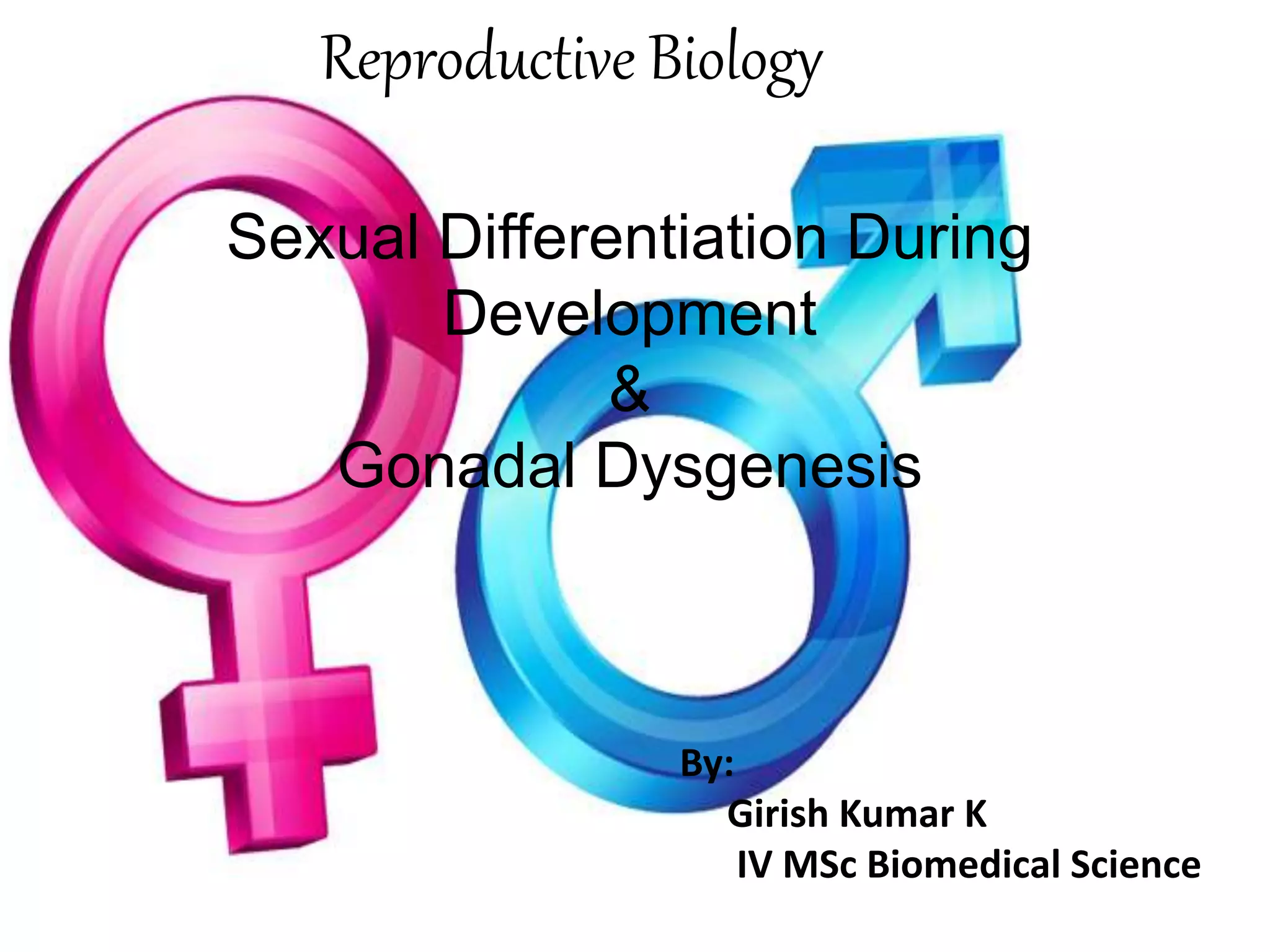 Sexual Differentiation During Development and Gonadal Dysgenesis | PPTX