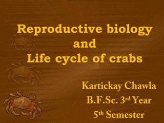 Reproductive biology
and
Life cycle of crabs
Kartickay Chawla
B.F.Sc. 3rd
Year
5th
Semester
 