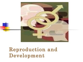 Reproduction and Development 