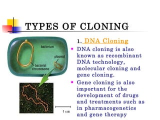 TYPES OF CLONING 1.  DNA Cloning DNA cloning is also known as recombinant DNA technology, molecular cloning and gene cloning. Gene cloning is also important for the development of drugs and treatments such as in pharmacogenetics and gene therapy 