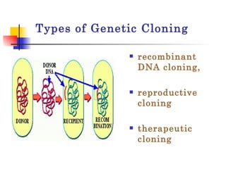 Types of Genetic Cloning recombinant DNA cloning,  reproductive cloning therapeutic cloning  