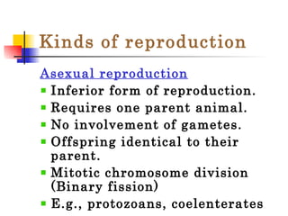 Kinds of reproduction Asexual reproduction Inferior form of reproduction. Requires one parent animal. No involvement of gametes. Offspring identical to their parent. Mitotic chromosome division (Binary fission) E.g., protozoans, coelenterates 