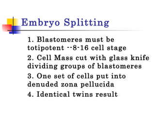 Embryo Splitting 1. Blastomeres must be totipotent --8-16 cell stage  2. Cell Mass cut with glass knife dividing groups of blastomeres  3. One set of cells put into denuded zona pellucida 4. Identical twins result  
