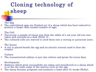 Cloning technology of  sheep The Egg  The unfertilised eggs are flushed out of a sheep which has been induced to produce a larger than normal number of eggs.  The Cell  Previously a sample of tissue was from the udder of a six year old ewe was taken and cultured in a dish (Dolly 1).  The cultured cells are starved to send them into a resting or quiescent state.  The fusion  A cell is placed beside the egg and an electric current used to fuse the couplet.  Culture  The reconstructed embryo is put into culture and grows for seven days.  Development  Embryos which grow successfully are taken and transferred to a sheep which is at the the same stage of the oestrus cycle as the egg.  The sheep becomes pregnant and produces a lamb after 21 weeks (Dolly).  
