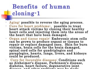 Benefits  of human cloning-1   Aging:  possible to reverse the aging process.  Cure for heart problems:.   possible to treat heart attack victims by cloning their healthy heart cells and injecting them into the areas of the heart that have been damaged.  Organ and tissue repair:   Embryonic stem cells can be grown to produce organs or tissues to repair or replace damaged ones.  Skin for burn victims, brain cells for the brain damaged, spinal cord cells for quadriplegics and paraplegics, hearts, lungs, livers, and kidneys could be produced.   Cure for Incurable diseases:   Conditions such as Alzheimer's disease, Parkinson's disease, diabetes, heart failure, degenerative joint disease, and other problems may be made curable. 