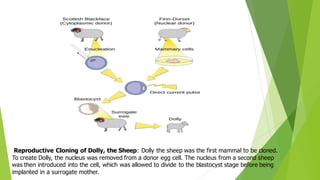 Reproductive clonning | PDF