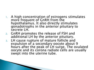 1. A high concentration of estrogens stimulates
more frequent of GnRH from the
hypothalamus. It also directly stimulates
gonadotrophs in the anterior pituitary to
secrete LH.
2. GnRH promotes the release of FSH and
additional LH by the anterior pituitary.
3. LH cause rupture of mature follicle and
expulsion of a secondary oocyte about 9
hours after the peak of LH surge. The ovulated
oocyte and its corona radiate cells are usually
swept into the uterine tube.
 
