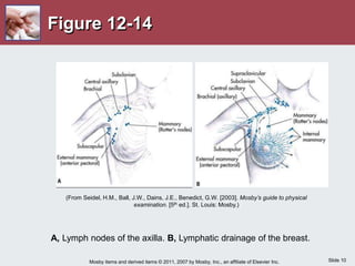 Slide 10
Mosby items and derived items © 2011, 2007 by Mosby, Inc., an affiliate of Elsevier Inc.
Figure 12-14
A, Lymph nodes of the axilla. B, Lymphatic drainage of the breast.
(From Seidel, H.M., Ball, J.W., Dains, J.E., Benedict, G.W. [2003]. Mosby’s guide to physical
examination. [5th ed.]. St. Louis: Mosby.)
 