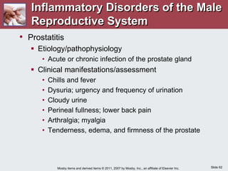 Slide 62
Mosby items and derived items © 2011, 2007 by Mosby, Inc., an affiliate of Elsevier Inc.
Inflammatory Disorders of the Male
Reproductive System
• Prostatitis
 Etiology/pathophysiology
• Acute or chronic infection of the prostate gland
 Clinical manifestations/assessment
• Chills and fever
• Dysuria; urgency and frequency of urination
• Cloudy urine
• Perineal fullness; lower back pain
• Arthralgia; myalgia
• Tenderness, edema, and firmness of the prostate
 
