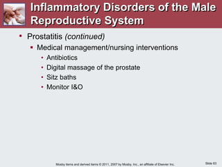 Slide 63
Mosby items and derived items © 2011, 2007 by Mosby, Inc., an affiliate of Elsevier Inc.
• Prostatitis (continued)
 Medical management/nursing interventions
• Antibiotics
• Digital massage of the prostate
• Sitz baths
• Monitor I&O
Inflammatory Disorders of the Male
Reproductive System
 