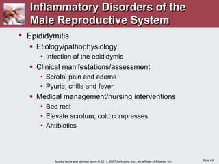 Slide 64
Mosby items and derived items © 2011, 2007 by Mosby, Inc., an affiliate of Elsevier Inc.
• Epididymitis
 Etiology/pathophysiology
• Infection of the epididymis
 Clinical manifestations/assessment
• Scrotal pain and edema
• Pyuria; chills and fever
 Medical management/nursing interventions
• Bed rest
• Elevate scrotum; cold compresses
• Antibiotics
Inflammatory Disorders of the
Male Reproductive System
 