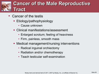 Slide 69
Mosby items and derived items © 2011, 2007 by Mosby, Inc., an affiliate of Elsevier Inc.
Cancer of the Male Reproductive
Tract
• Cancer of the testis
 Etiology/pathophysiology
• Cause unknown
 Clinical manifestations/assessment
• Enlarged scrotum; feeling of heaviness
• Firm, painless, smooth mass
 Medical management/nursing interventions
• Radical inguinal orchiectomy
• Radiation and/or chemotherapy
• Teach testicular self-examination
 