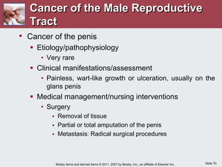 Slide 70
Mosby items and derived items © 2011, 2007 by Mosby, Inc., an affiliate of Elsevier Inc.
Cancer of the Male Reproductive
Tract
• Cancer of the penis
 Etiology/pathophysiology
• Very rare
 Clinical manifestations/assessment
• Painless, wart-like growth or ulceration, usually on the
glans penis
 Medical management/nursing interventions
• Surgery
 Removal of tissue
 Partial or total amputation of the penis
 Metastasis: Radical surgical procedures
 