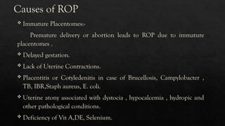 reproductive disorders in cattle and treatment .pptx