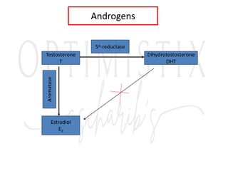 Androgens
Aromatase 5α-reductase
Estradiol
E2
Dihydrotestosterone
DHT
Testosterone
T
 