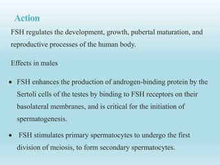 Action
FSH regulates the development, growth, pubertal maturation, and
reproductive processes of the human body.
Effects in males
 FSH enhances the production of androgen-binding protein by the
Sertoli cells of the testes by binding to FSH receptors on their
basolateral membranes, and is critical for the initiation of
spermatogenesis.
 FSH stimulates primary spermatocytes to undergo the first
division of meiosis, to form secondary spermatocytes.
 
