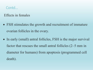 Contd…
Effects in females
 FSH stimulates the growth and recruitment of immature
ovarian follicles in the ovary.
 In early (small) antral follicles, FSH is the major survival
factor that rescues the small antral follicles (2–5 mm in
diameter for humans) from apoptosis (programmed cell
death).
 