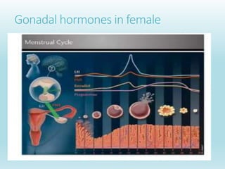 Gonadal hormones in female
 
