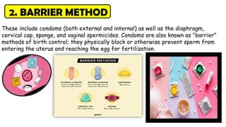Barrier Method Example Reproductive health.ppt class 12 investigatory project | PPTX