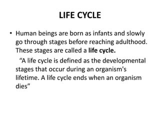 LIFE CYCLE
• Human beings are born as infants and slowly
go through stages before reaching adulthood.
These stages are called a life cycle.
“A life cycle is defined as the developmental
stages that occur during an organism's
lifetime. A life cycle ends when an organism
dies”
 
