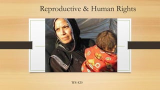 Reproductive & Human Rights 
WS-420 
 