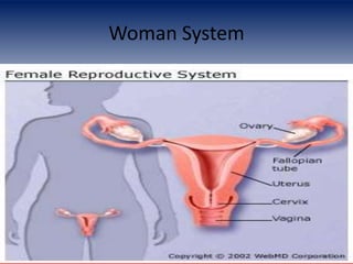 Woman System
 