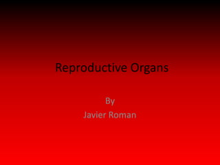 Reproductive Organs

          By
    Javier Roman
 
