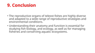 Reproductive organs in Fishes (Teleost)[1].pptx