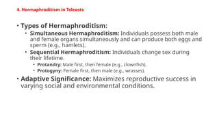 Reproductive organs in Fishes (Teleost)[1].pptx