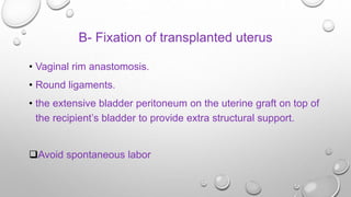 Reproductive organ transplantation