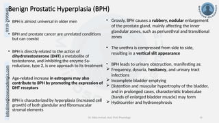info@medicoseacademics.com
0310-7990649
Dr. Sidra Arshad, Asst. Prof. Physiology 14
Benign Prostatic Hyperplasia (BPH)
• BPH is almost universal in older men
• BPH and prostate cancer are unrelated conditions
but can coexist
• BPH is directly related to the action of
dihydrotestosterone (DHT) a metabolite of
testosterone, and inhibiting the enzyme 5a-
reductase, type 2, is one approach to its treatment
• Age-related increase in estrogens may also
contribute to BPH by promoting the expression of
DHT receptors
• BPH is characterized by hyperplasia (increased cell
growth) of both glandular and fibromuscular
stromal elements
• Grossly, BPH causes a rubbery, nodular enlargement
of the prostate gland, mainly affecting the inner
glandular zones, such as periurethral and transitional
zones
• The urethra is compressed from side to side,
resulting in a vertical slit appearance
• BPH leads to urinary obstruction, manifesting as:
 Frequency, dysuria, hesitancy, and urinary tract
infections
 Incomplete bladder emptying
 Distention and muscular hypertrophy of the bladder,
and in prolonged cases, characteristic trabeculae
(bands of enlarged bladder muscle) may form
 Hydroureter and hydronephrosis
 