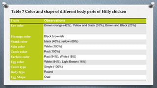Table 7 Color and shape of different body parts of Hilly chicken
Traits Observations
Eye color Brown orange (42%), Yellow and Black (35%), Brown and Black (23%)
Plumage color Black brownish
Shank color black (40%), yellow (60%)
Skin color White (100%)
Comb color Red (100%)
Earlobe color Red (84%), White (16%)
Egg color White (84%), Light Brown (16%)
Comb type Single (100%)
Body type Round
Egg Shape Oval
 