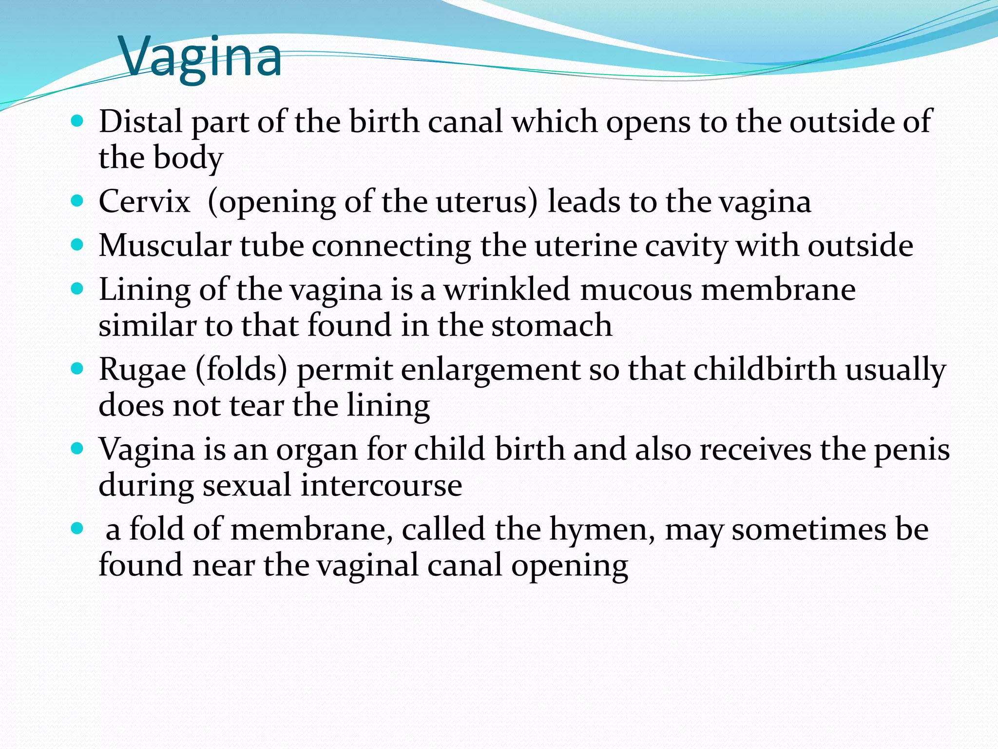 Reproductive physiology | PPTX