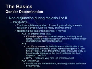 The Basics
Gender Determination
• Non-disjunction during meiosis I or II
– Polyploidy
• The incomplete separation of homologues during meiosis
results in a zygote with too many chromosomes
• Regarding the sex chromosomes, it may be
– XXY (47 chromosomes total)
» Klinefelter syndrome: Male sex organs; unusually small
testes, sterile. Breast enlargement and other feminine body
characteristics. Normal intelligence.
– XYY
» Jacob’s syndrome: Individuals are somewhat taller than
average and often have below normal intelligence. At one
time (~1970s), it was thought that these men were likely to
be criminally aggressive, but this hypothesis has been
disproven over time.
» XXYY – male and very rare (48 chromosomes)
– XXX (Trisomy X)
» Individuals are female normal, undistinguishable except for
by karyotype.
 
