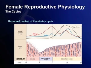 Female Reproductive Physiology
The Cycles
Hormonal control of the uterine cycle
 