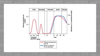 Physiology of Puberty and Menopause | PPTX