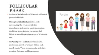 Developing Female Female Reproductive System | PPTX