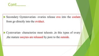 Cont………
 Secondary Gymnovarian- ovaries release ova into the coelam
from go directly into the oviduct.
 Cystovarian- characterize most teleosts ,in this types of ovary
,the mature oocytes are released by pore to the outside.
 