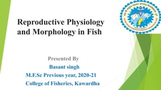 Reproductive Physiology
and Morphology in Fish
Presented By
Basant singh
M.F.Sc Previous year, 2020-21
College of Fisheries, Kawardha
 