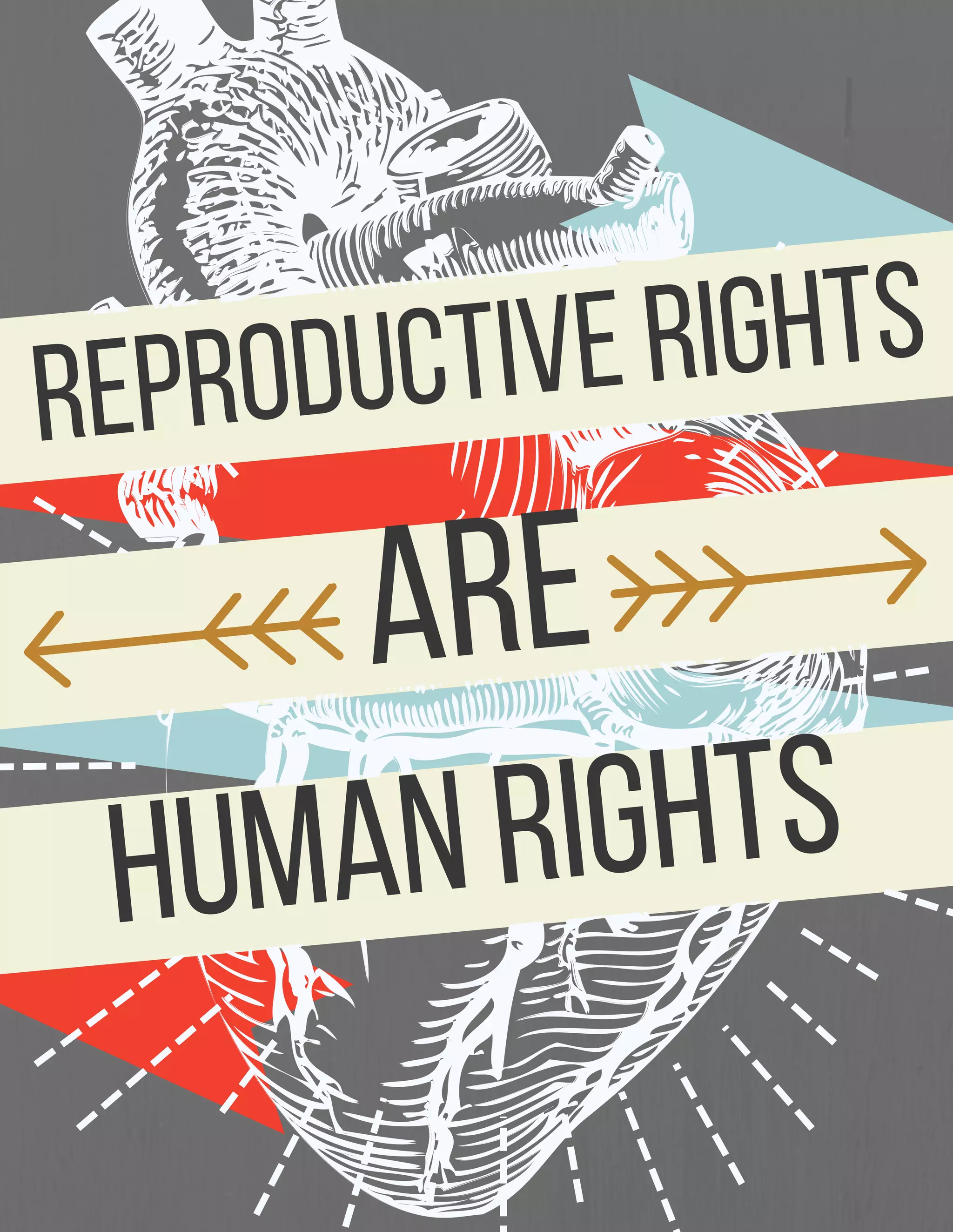 Reproductive rights | PDF
