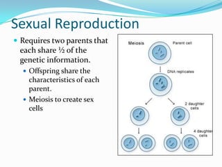 Sexual Reproduction
 Requires two parents that
 each share ½ of the
 genetic information.
   Offspring share the
    characteristics of each
    parent.
   Meiosis to create sex
    cells
 