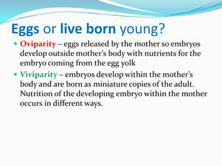 Eggs or live born young?
 Oviparity – eggs released by the mother so embryos
  develop outside mother’s body with nutrients for the
  embryo coming from the egg yolk
 Viviparity – embryos develop within the mother’s
  body and are born as miniature copies of the adult.
  Nutrition of the developing embryo within the mother
  occurs in different ways.
 