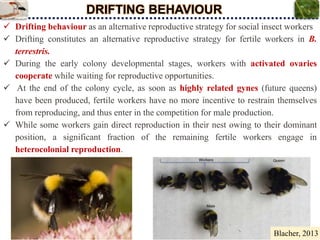 Reproductive Strategies_S.Srinivasnaik_RAD21-25.ppt